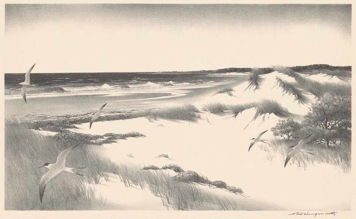 The Far Shore by Stow Wengenroth