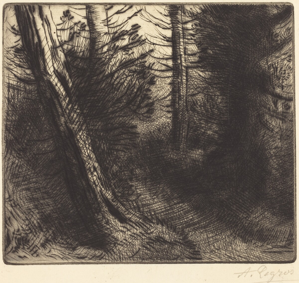 Path through the Woods (Sentier sous bois) by Alphonse Legros