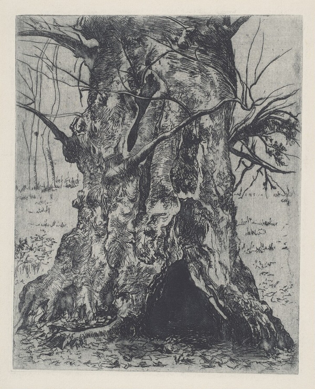 Untitled (Tree Trunk) by Joseph Stella