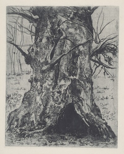 Untitled (Tree Trunk)