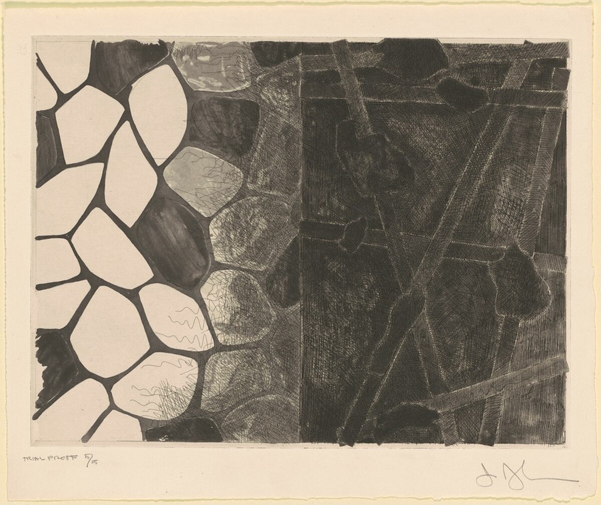Flagstones and Casts [trial proof] by Jasper Johns