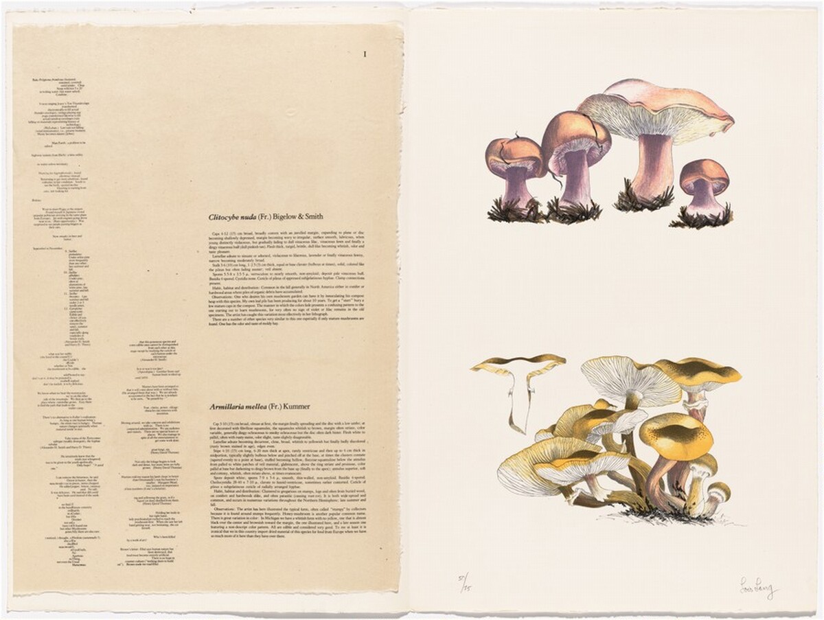 Untitled by Lois Long