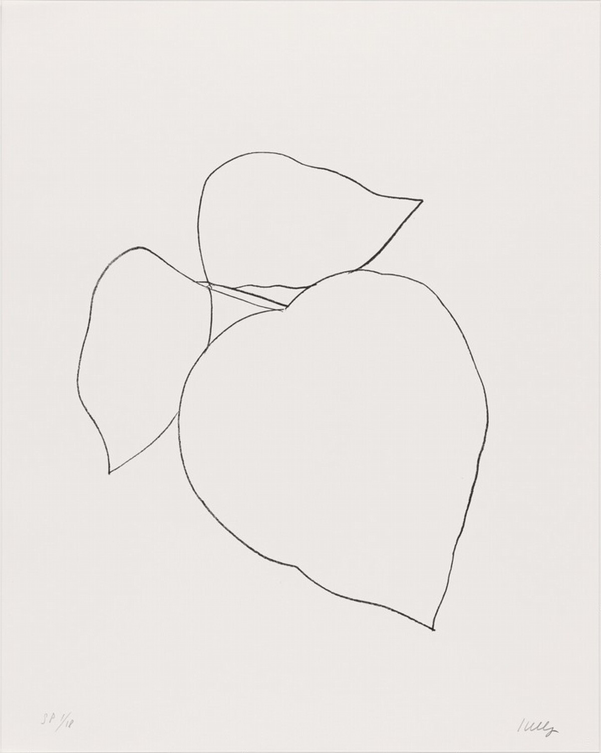 Leaves by Ellsworth Kelly