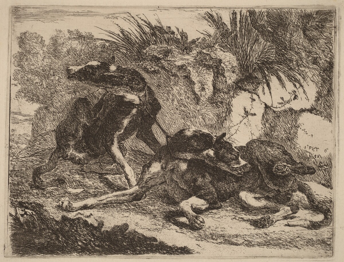 Two Greyhounds, Leashed and Facing Opposite Directions by Jan Fyt