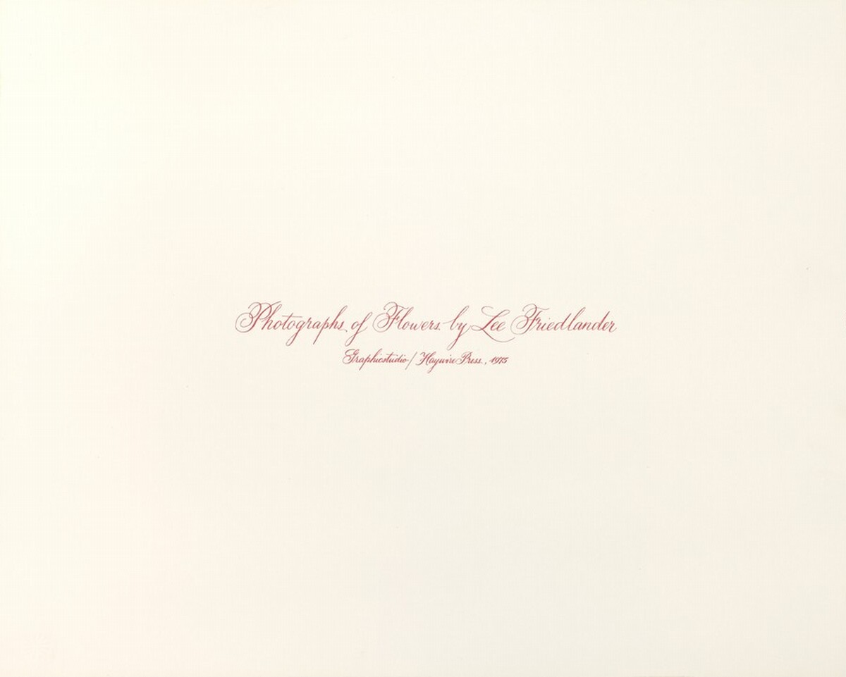 Photographs of Flowers Title Page by Lee Friedlander