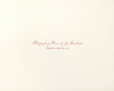 Photographs of Flowers Title Page