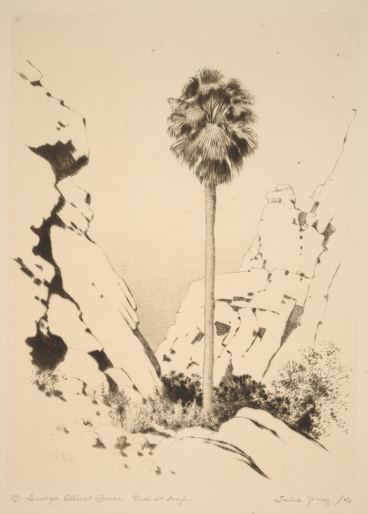 Palm Canyon (no.1) by George Elbert Burr