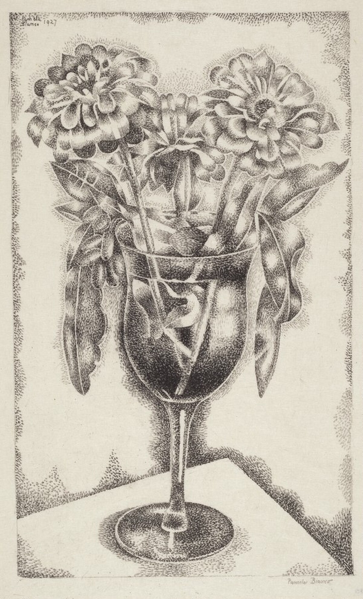Zinnias by Pamela Bianco