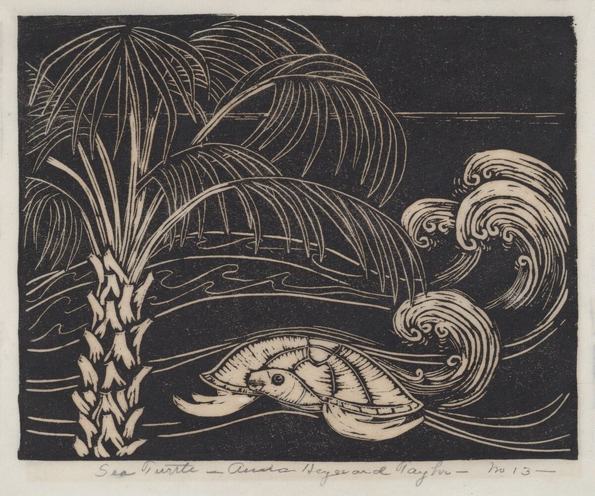 Sea Turtle by Anna Heyward Taylor