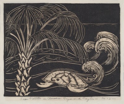 Sea Turtle