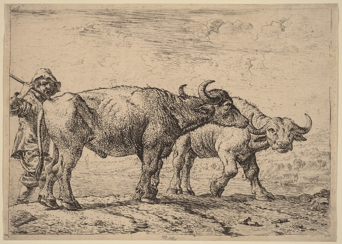 Two Buffaloes and a Herdsman by Pieter van Laer