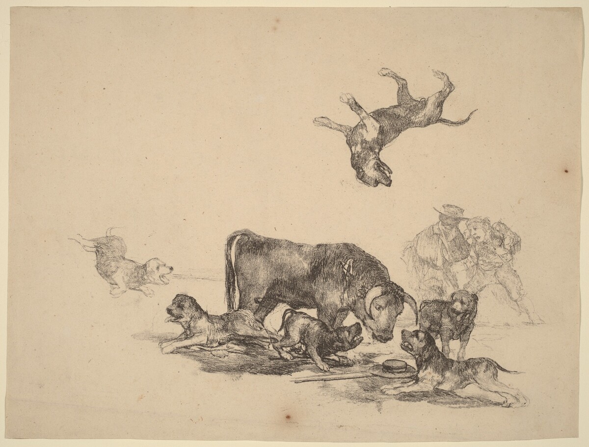 Bull Attacked by Dogs by Francisco Goya