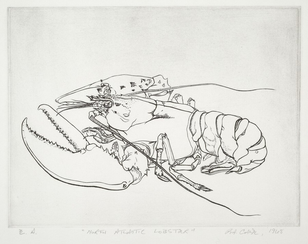 North Atlantic Lobster by Robert Allan Cale