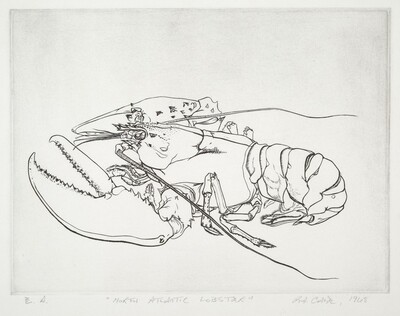 North Atlantic Lobster