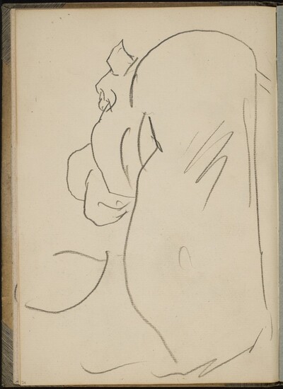 Nilpferd in Rückenansicht (Hippo from behind) [p. 24]