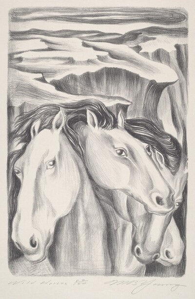 Wild Horses