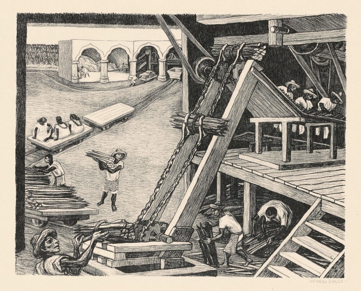 Hennequen Plant in Yucatán by Alfredo Zalce