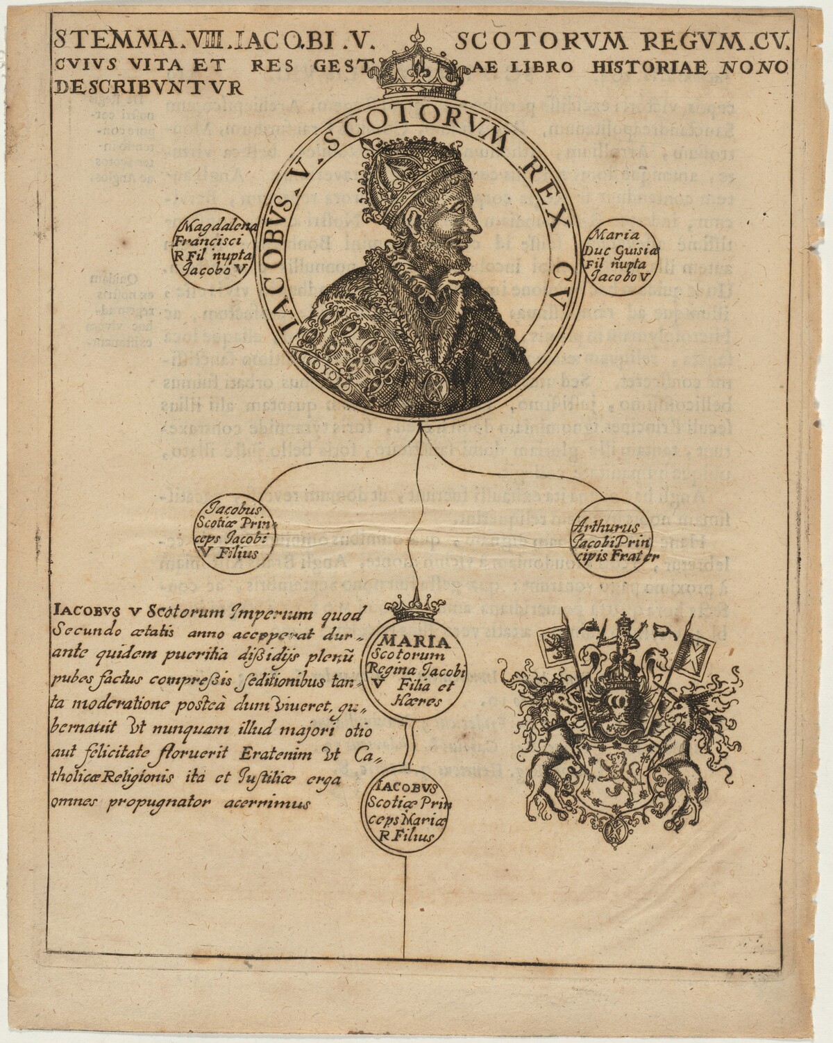 James V of Scotland with Geneology by Unknown Artist