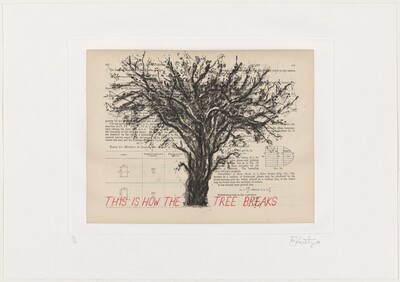 This is How the Tree Breaks