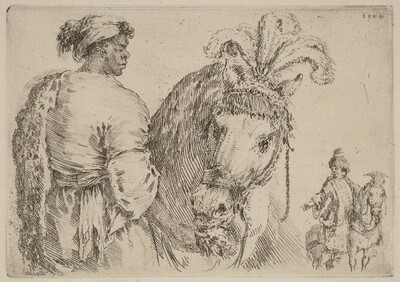 A Black Man Feeding a Horse