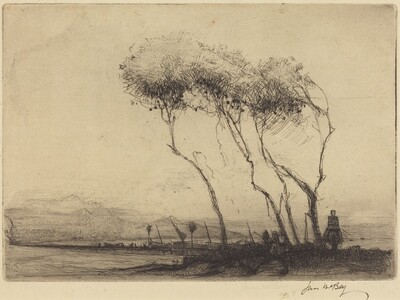 The Towy at Carmarthen
