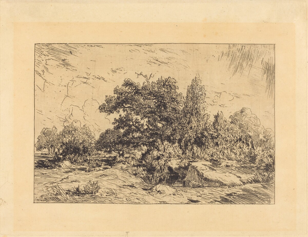 Vue du Plateau de Bellecroix by Théodore Rousseau