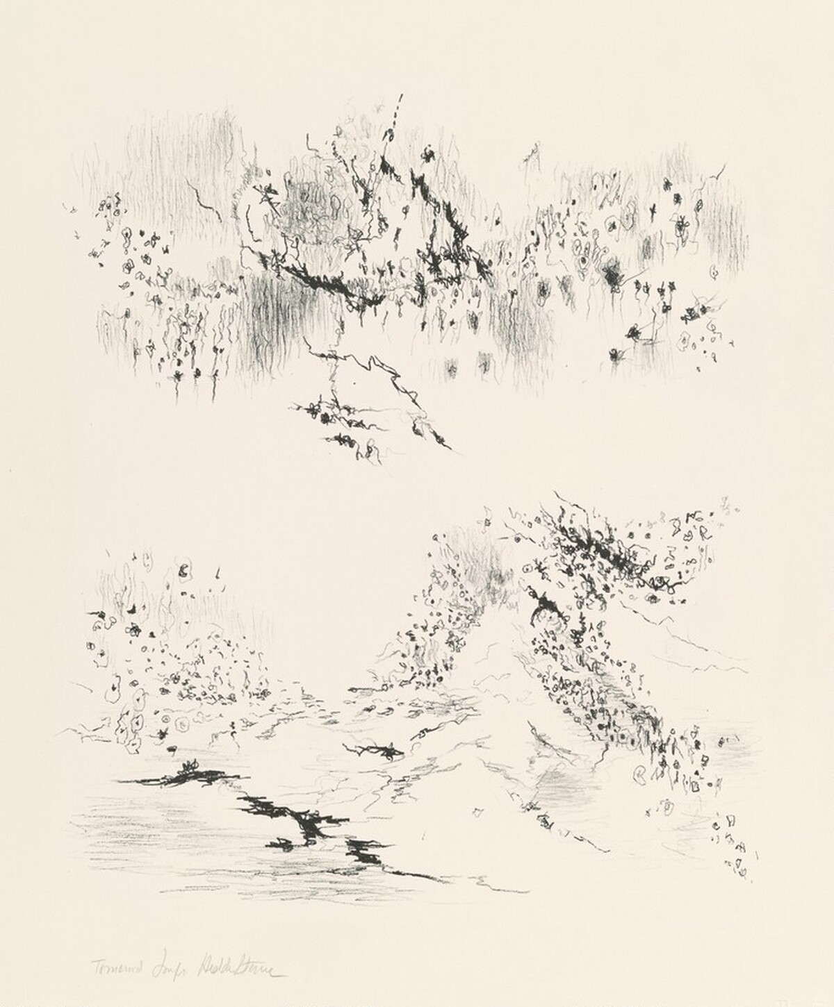 Untitled by Hedda Sterne