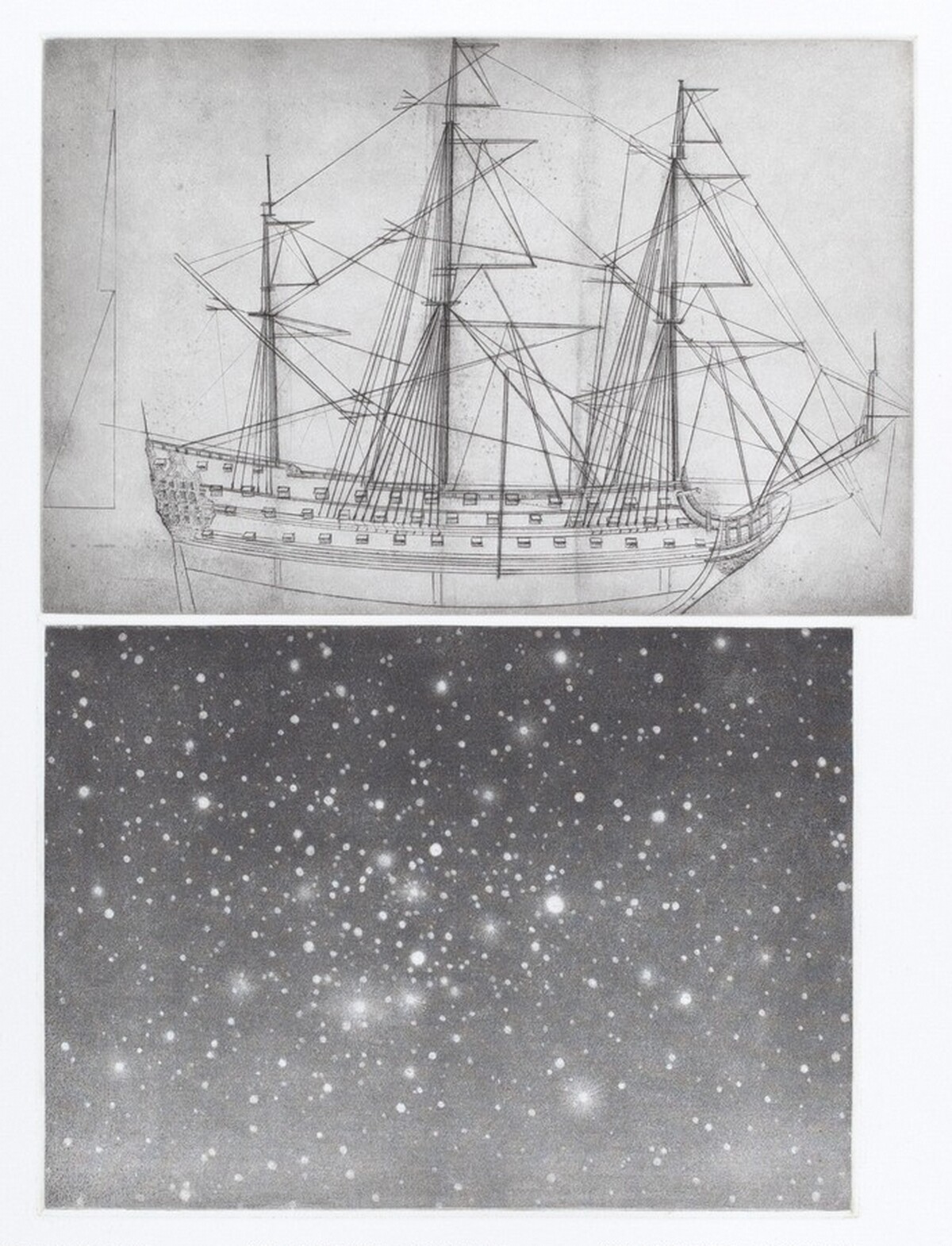 Alliance by Vija Celmins