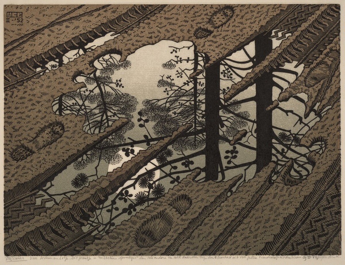 Puddle by M.C. Escher