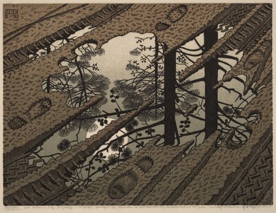 Puddle