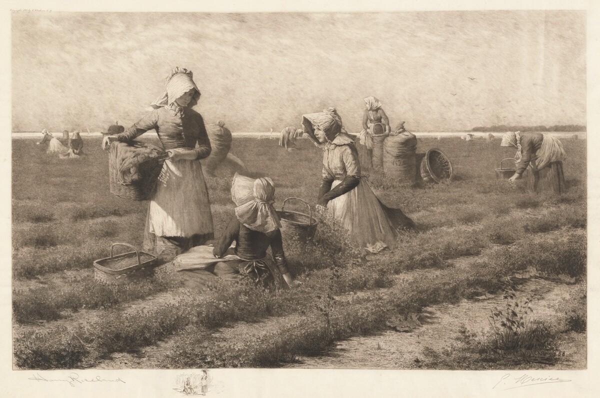 Cranberry Pickers by Gustave Mercier