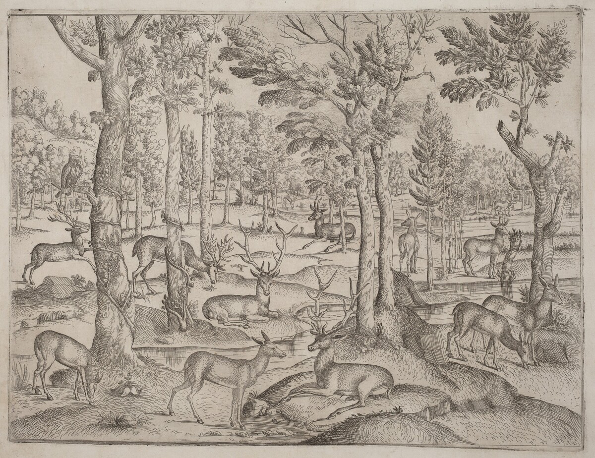 Deer in the Forest by Italian 16th Century