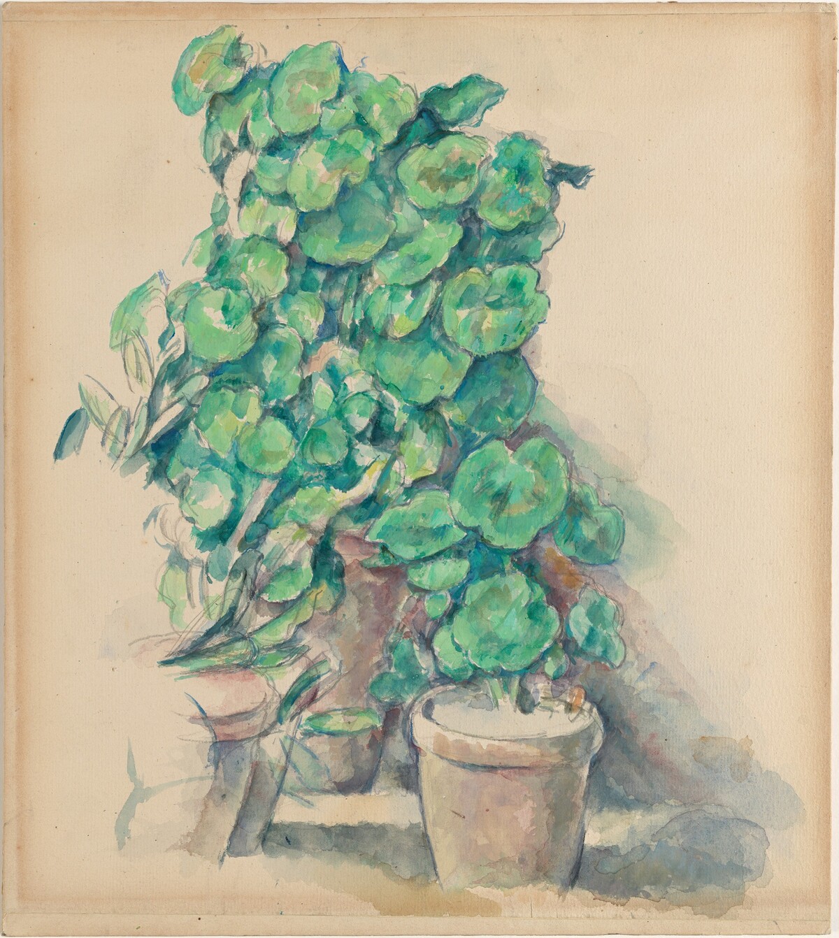 Geraniums by Paul Cezanne