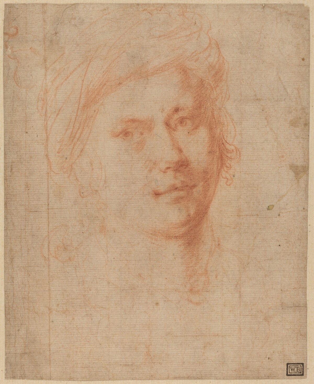 Head of a Youth by Alessandro Allori