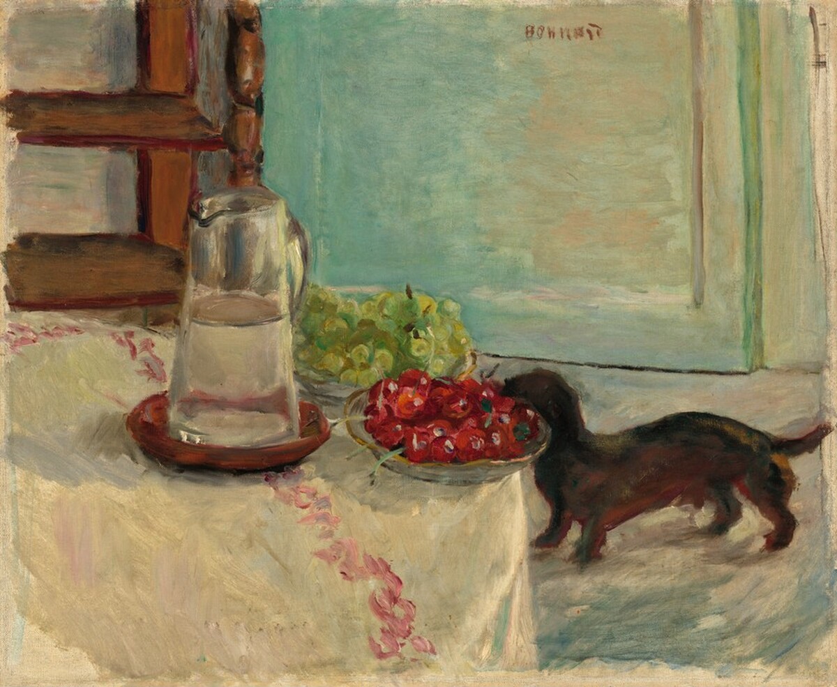 Still Life with Dog by Pierre Bonnard