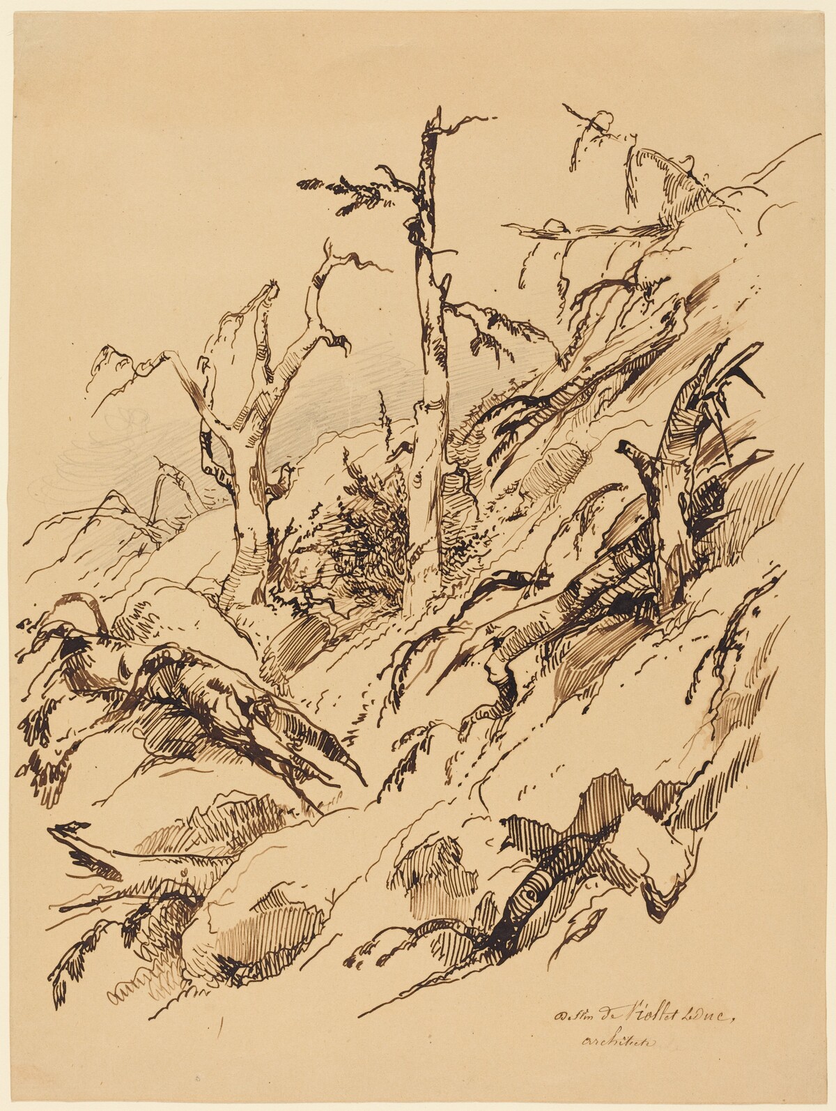 A Rocky Hillside with Dead and Dying Trees by Adolphe Etienne Viollet-Le-Duc II