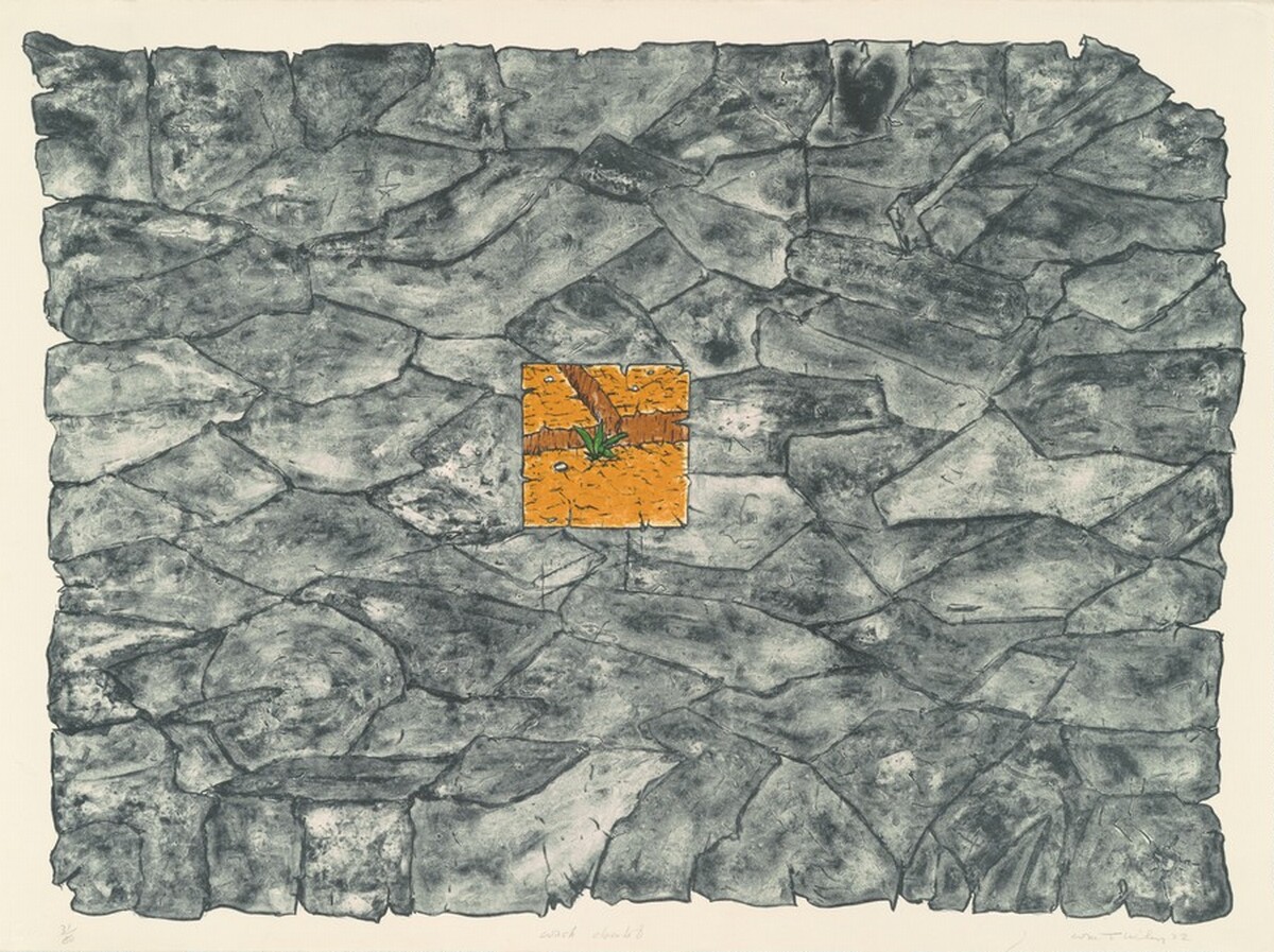 Wash Doubt by William T. Wiley
