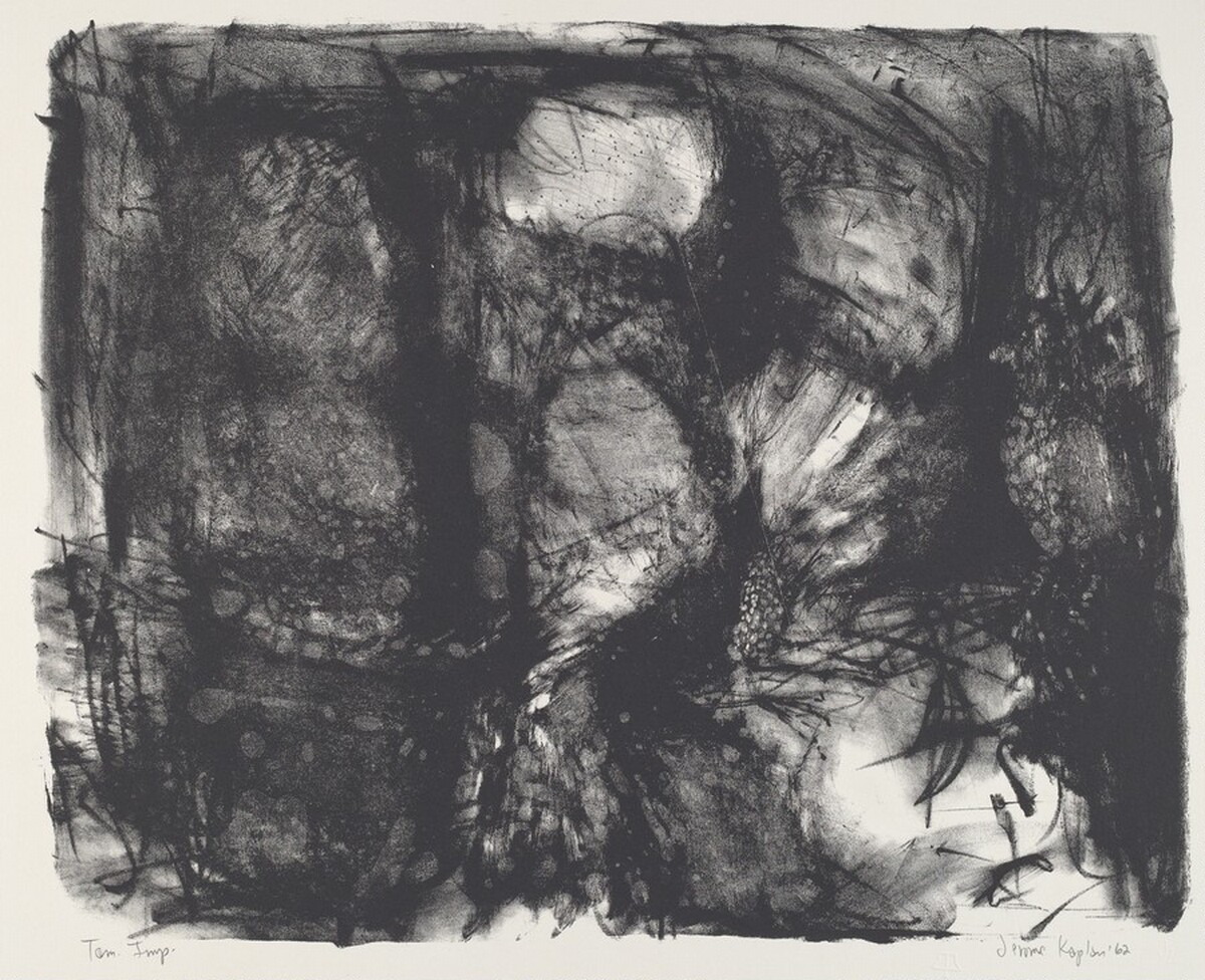Birds by Jerome Kaplan