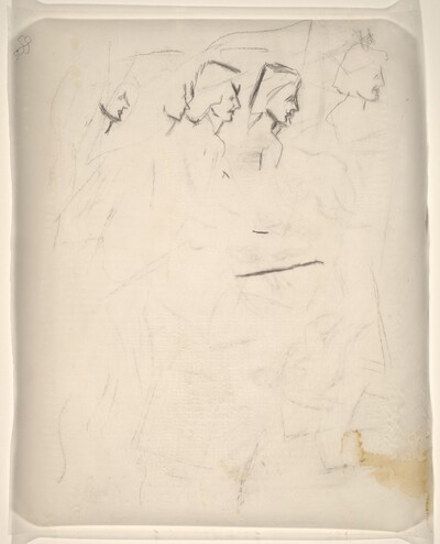 Female Heads in Profile