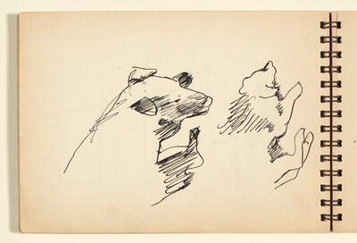 Sketchbook