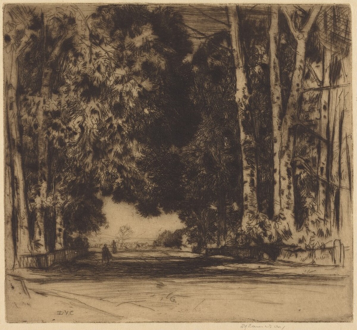 The Avenue by David Young Cameron