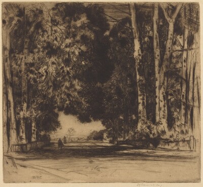 The Avenue