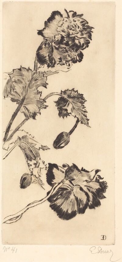Flowers (Fleurs)