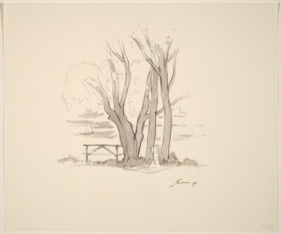Trees, Picnic Table, Trash Can
