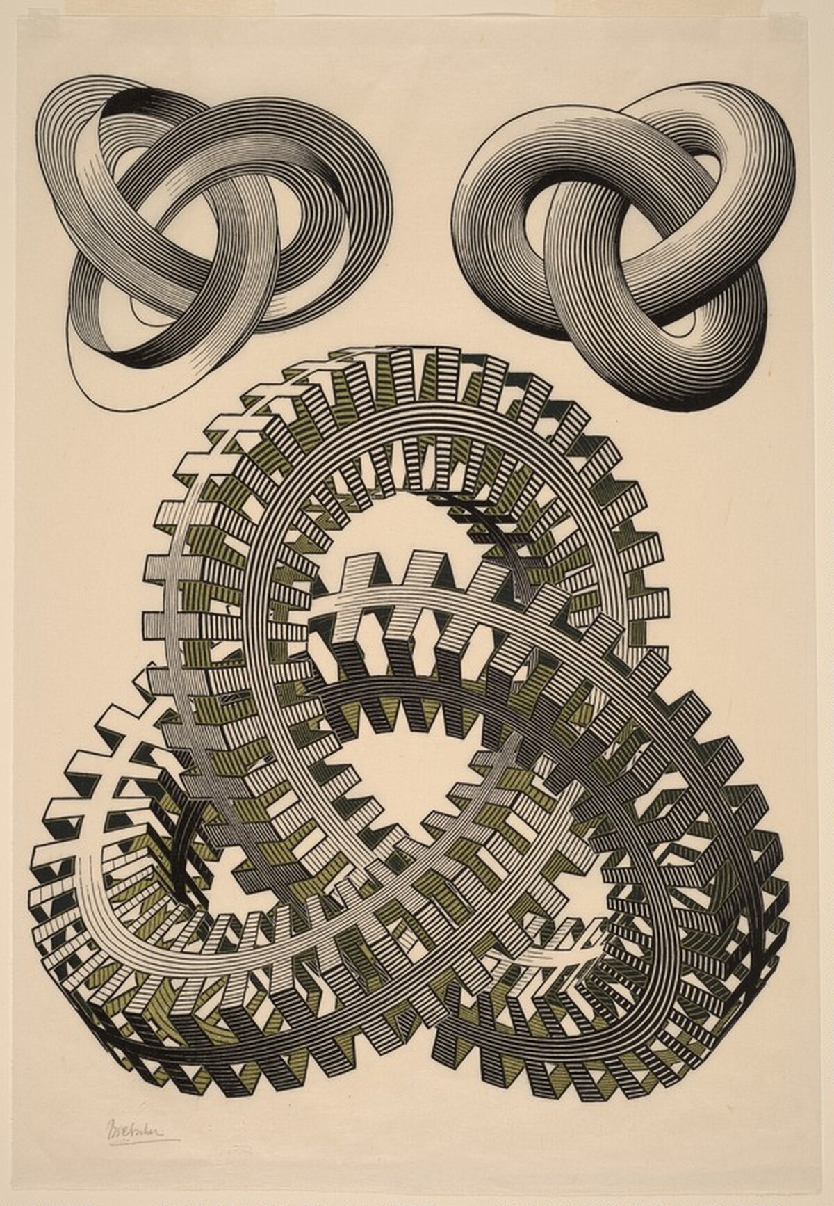 Knots by M.C. Escher