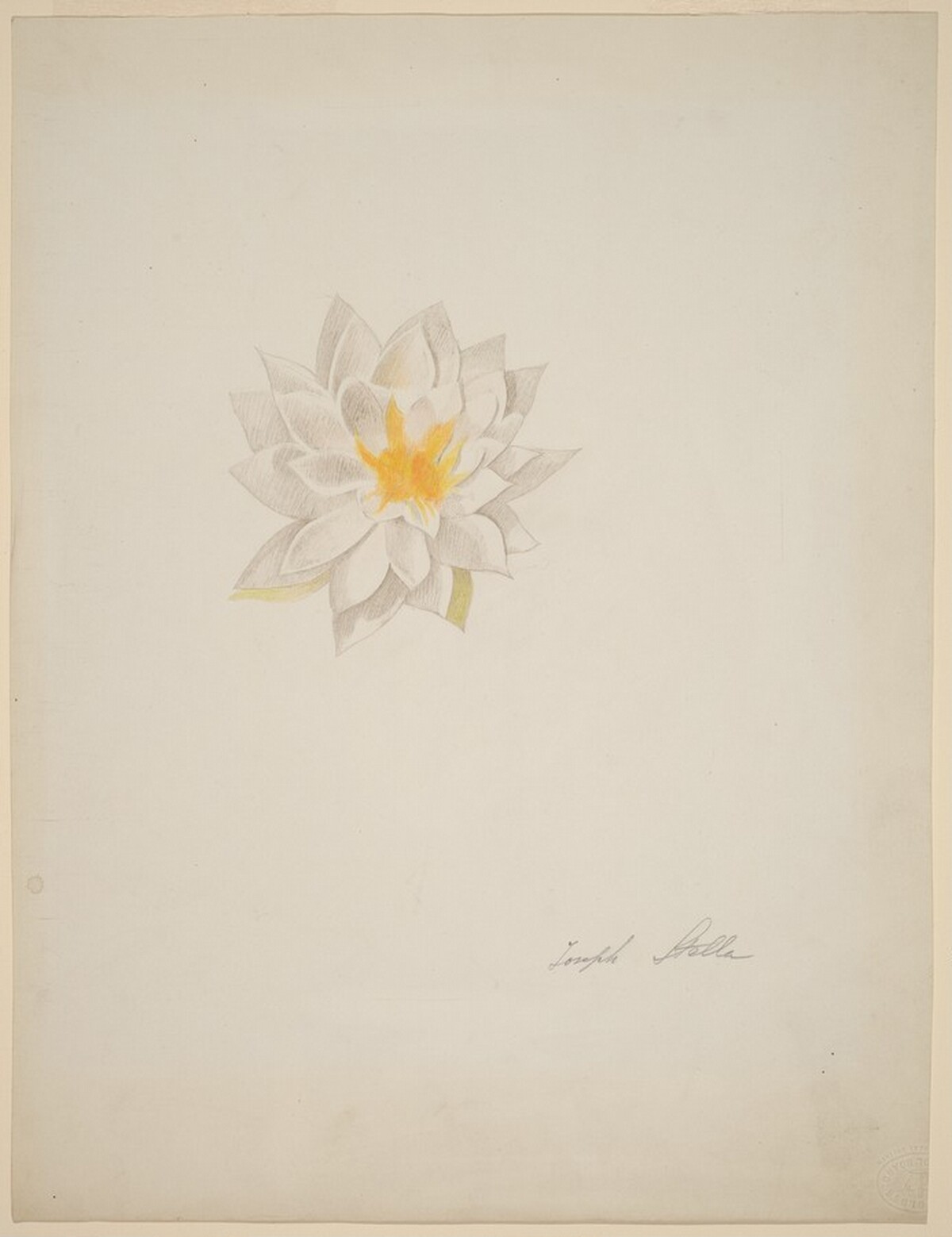 White Dahlia by Joseph Stella