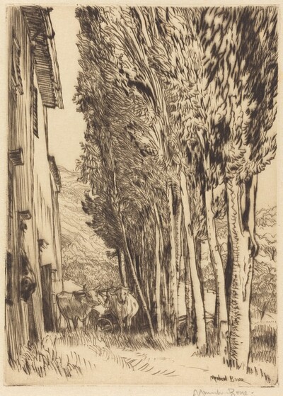 A Tuscan Farm