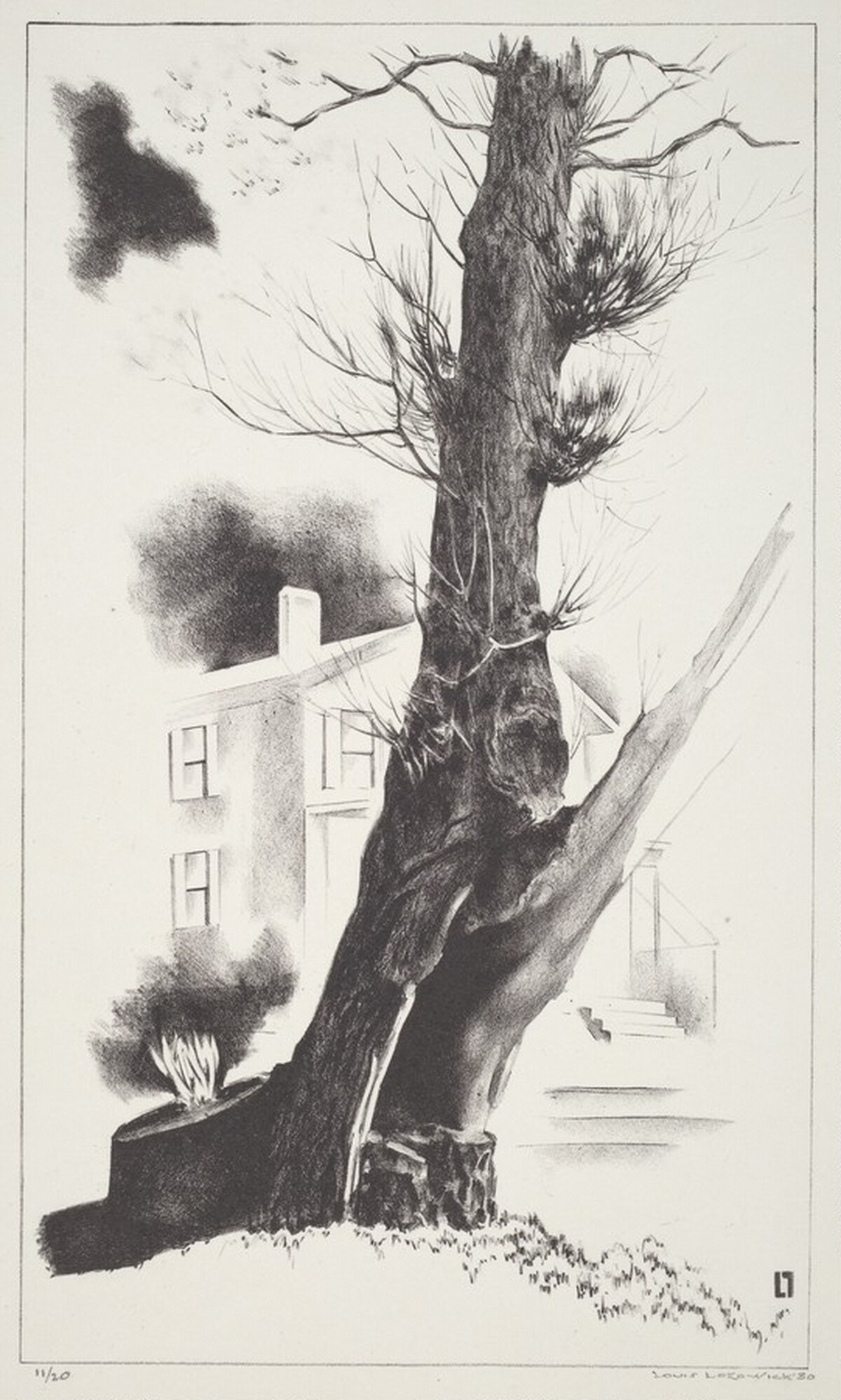 Willow Tree by Louis Lozowick