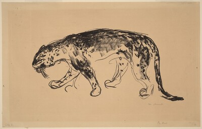 Panther Prowling (Schleichender Panther)