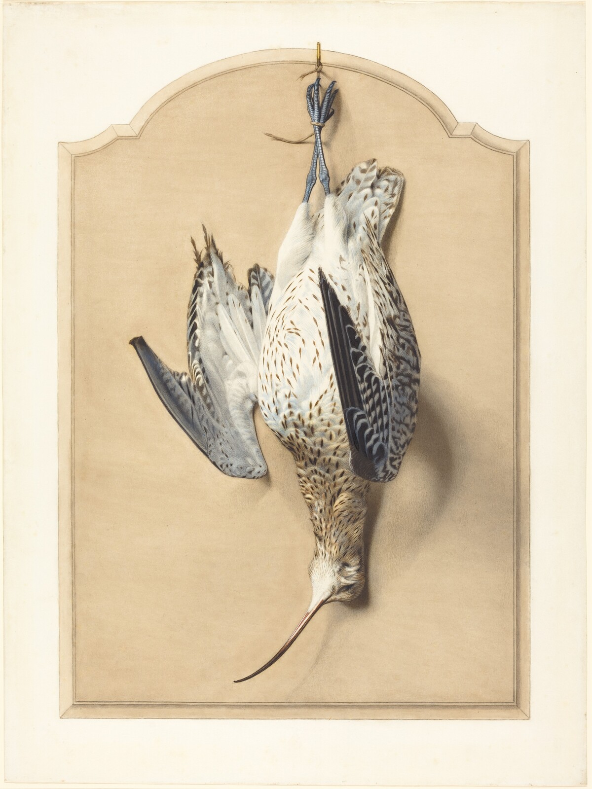 Trompe l'Oeil: A Curlew Hanging from a Nail by Édouard Traviès